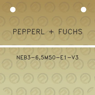 pepperl-fuchs-neb3-65m50-e1-v3