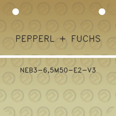 pepperl-fuchs-neb3-65m50-e2-v3