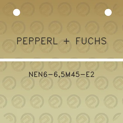 pepperl-fuchs-nen6-65m45-e2