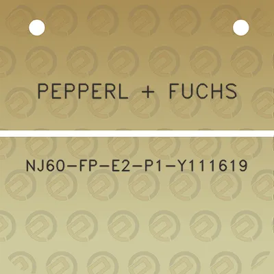 pepperl-fuchs-nj60-fp-e2-p1-y111619