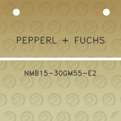 pepperl-fuchs-nmb15-30gm55-e2