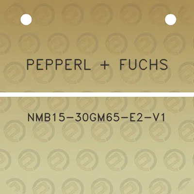 pepperl-fuchs-nmb15-30gm65-e2-v1