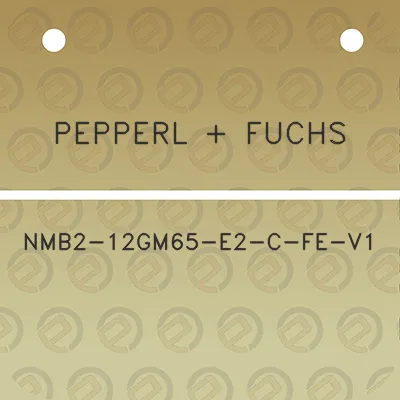 pepperl-fuchs-nmb2-12gm65-e2-c-fe-v1