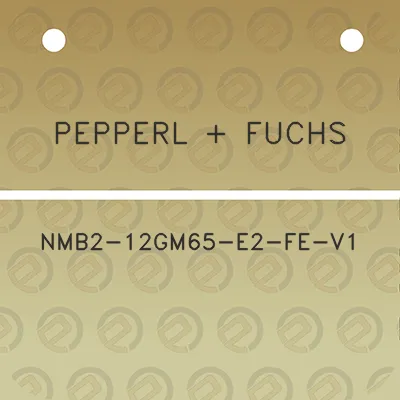 pepperl-fuchs-nmb2-12gm65-e2-fe-v1