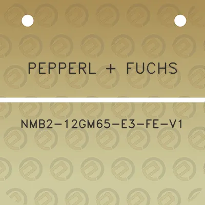 pepperl-fuchs-nmb2-12gm65-e3-fe-v1