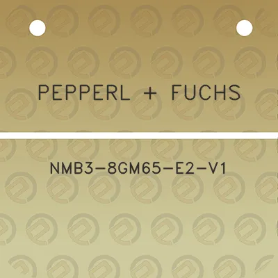 pepperl-fuchs-nmb3-8gm65-e2-v1