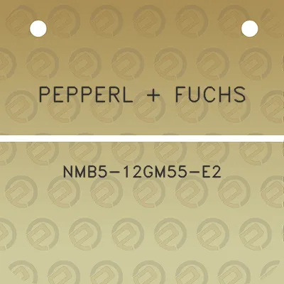 pepperl-fuchs-nmb5-12gm55-e2