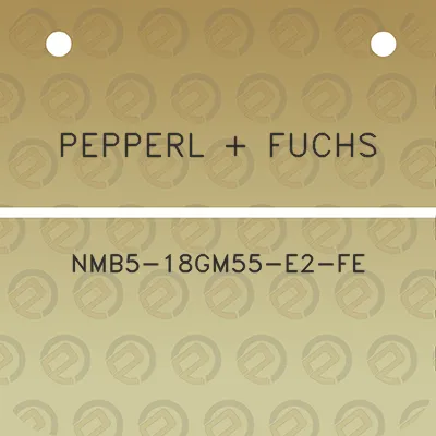 pepperl-fuchs-nmb5-18gm55-e2-fe