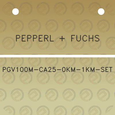 pepperl-fuchs-pgv100m-ca25-0km-1km-set