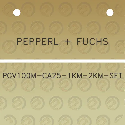 pepperl-fuchs-pgv100m-ca25-1km-2km-set