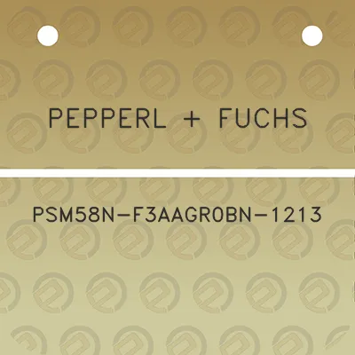 pepperl-fuchs-psm58n-f3aagr0bn-1213