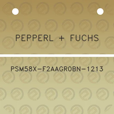 pepperl-fuchs-psm58x-f2aagr0bn-1213