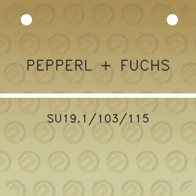 pepperl-fuchs-su191103115