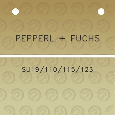 pepperl-fuchs-su19110115123