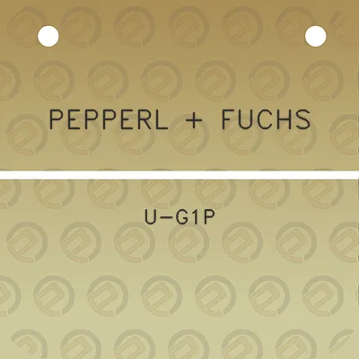 pepperl-fuchs-u-g1p