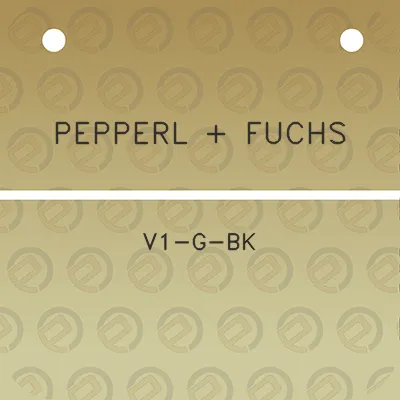 pepperl-fuchs-v1-g-bk