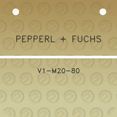 pepperl-fuchs-v1-m20-80