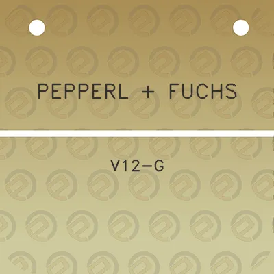 pepperl-fuchs-v12-g