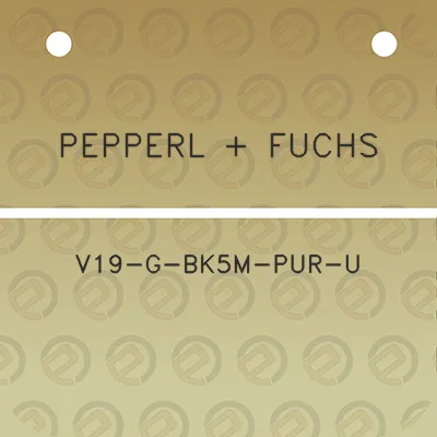 pepperl-fuchs-v19-g-bk5m-pur-u