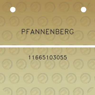 pfannenberg-11665103055