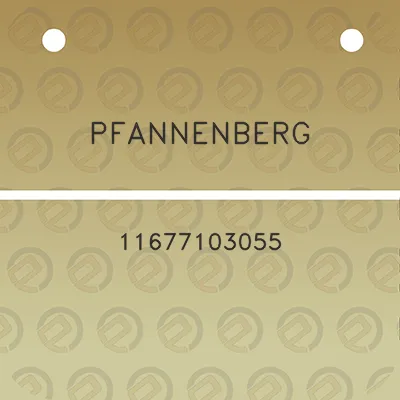 pfannenberg-11677103055