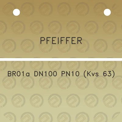 pfeiffer-br01a-dn100-pn10-kvs-63