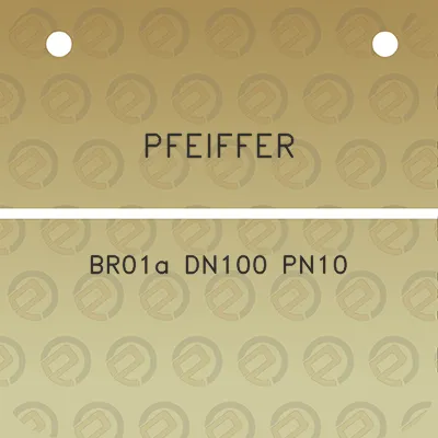 pfeiffer-br01a-dn100-pn10