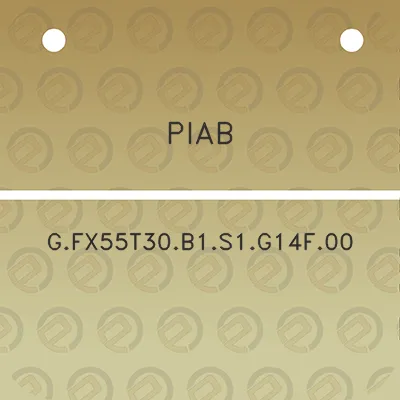 piab-gfx55t30b1s1g14f00