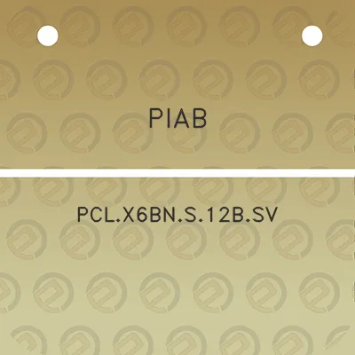 piab-pclx6bns12bsv