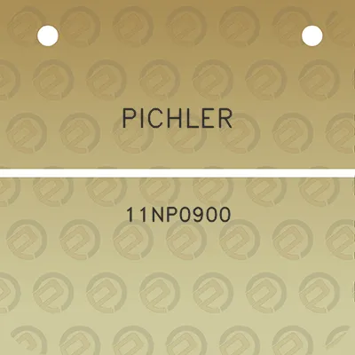 pichler-11np0900