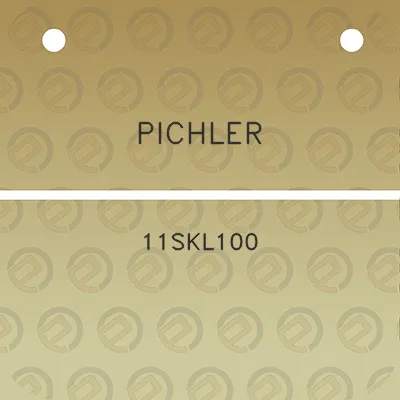 pichler-11skl100