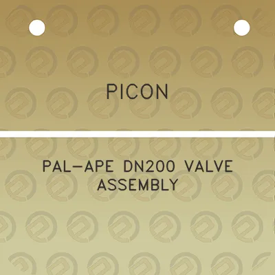 picon-pal-ape-dn200-valve-assembly