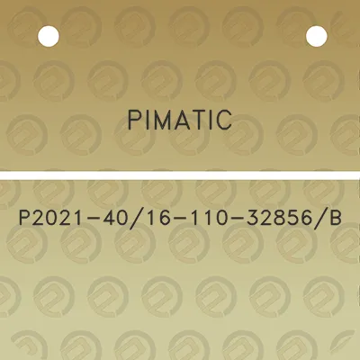 pimatic-p2021-4016-110-32856b