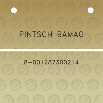 pintsch-bamag-8-001287300214