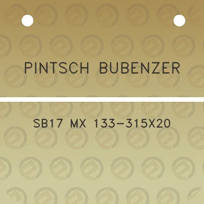 pintsch-bubenzer-sb17-mx-133-315x20