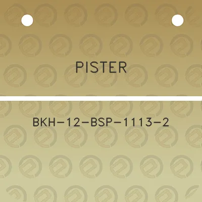 pister-bkh-12-bsp-1113-2