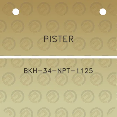 pister-bkh-34-npt-1125