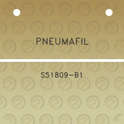 pneumafil-s51809-b1