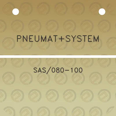 pneumatsystem-sas080-100