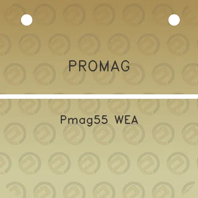 promag-pmag55-wea