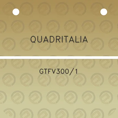 quadritalia-gtfv3001