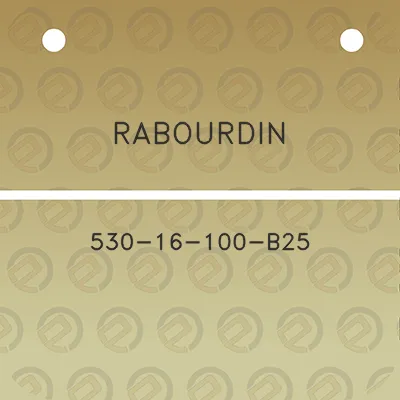 rabourdin-530-16-100-b25