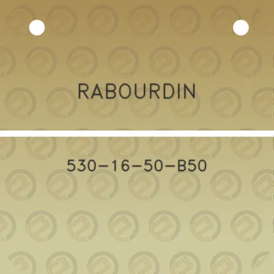 rabourdin-530-16-50-b50