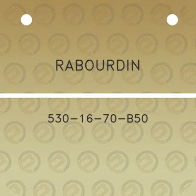 rabourdin-530-16-70-b50