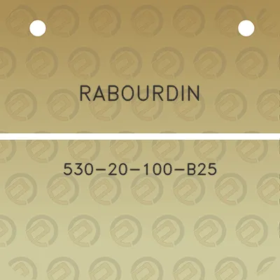 rabourdin-530-20-100-b25