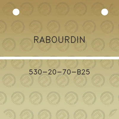 rabourdin-530-20-70-b25