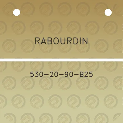 rabourdin-530-20-90-b25