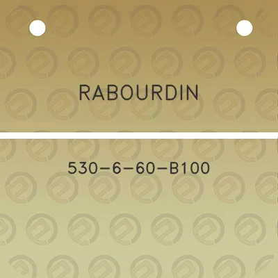 rabourdin-530-6-60-b100