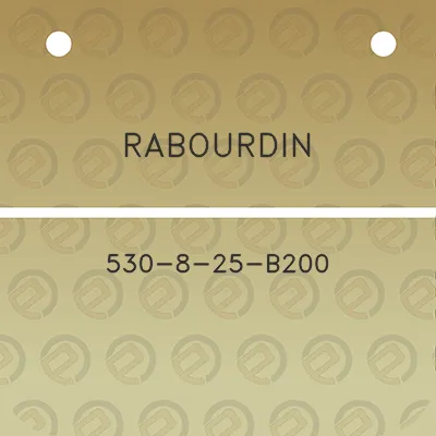 rabourdin-530-8-25-b200