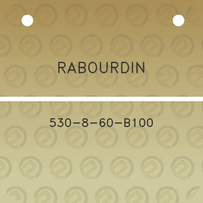 rabourdin-530-8-60-b100